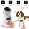 iFeed Automatic Pet Feeder